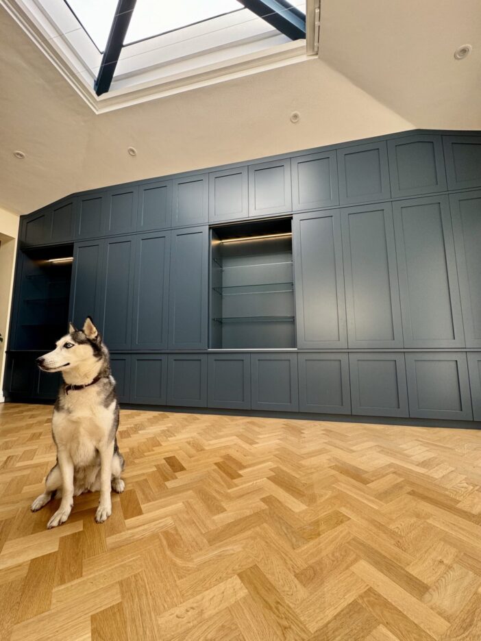 dog media blue 1536x2048